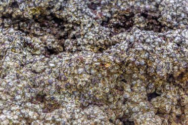 Doğal taşın dokusu