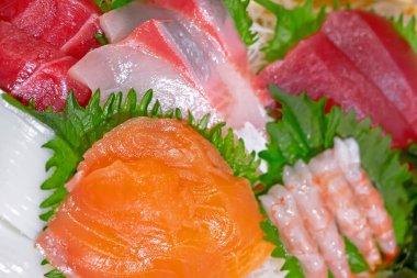 Japon suşi sashimi 'sini somon, saşimi, ton balığı, karides, balık ve ton balığıyla kaplayın..