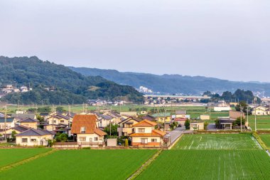 İsrail 'in kuzeyindeki Akdeniz adasının manzarası.