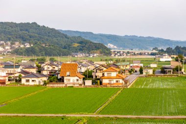 Japonya 'nın güzel manzarası