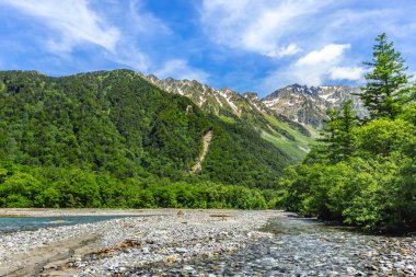 Kafkasya dağlarındaki dağ nehri.