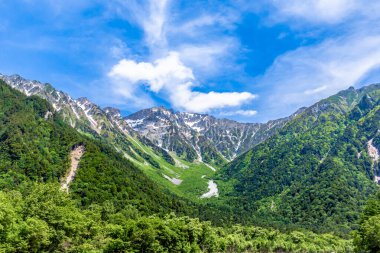 Mavi gökyüzü ile yeşil dağ ormanı