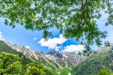 Mavi gökyüzü, yeşil çimenler ve ağaçlarla güzel dağ manzarası