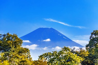 Dağ manzarası ve yeşil yapraklı Fuji Dağı