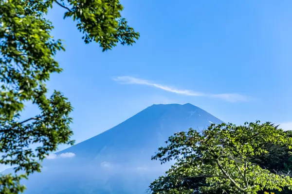 Etrafında akçaağaç yaprağı olan Fuji Dağı 'nın güzel manzarası