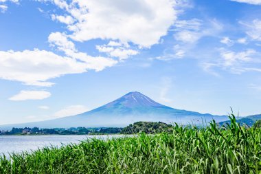 Yamanakako 'daki Fuji Gölü' nün ya da sonbahar gölü olan Japonya 'nın güzel manzarası