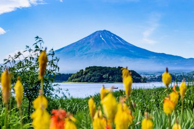 Fuji 'nin güzel manzarası ve etrafında akçaağaç yaprağı