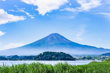 Akçaağaç yapraklı Fuji Dağı 'nın güzel manzarası ya da mavi gölün etrafındaki ağaç.