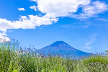 Mavi gökyüzünün dağ manzarası
