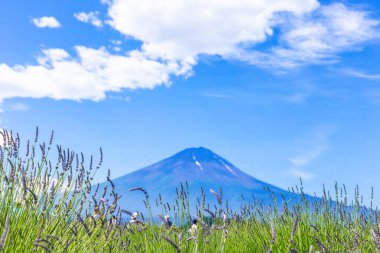 Japonya 'da Fuji Dağı