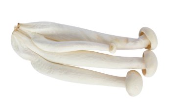Champignon mantar kırpma yolu ile beyaz arka plan üzerinde izole