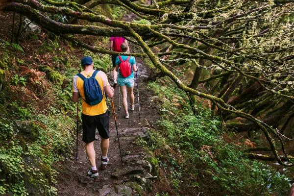 森の小道を歩くバックパックやハイキングポールを持つ友人のグループ 自然冒険と探検 — ストック写真