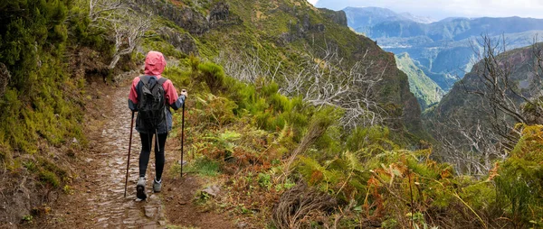 Πεζοπόρος Περπατώντας Στο Ορεινό Μονοπάτι Στο Νησί Της Μαδέρας Όμορφη — Φωτογραφία Αρχείου