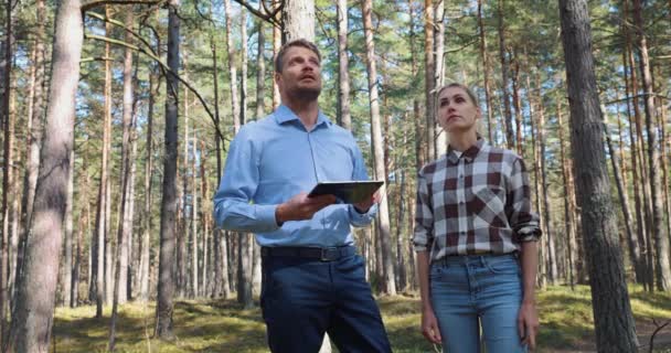 Skogeieren Viser Eiendommen Til Kjøperen Eller Takstmannen Kjøp Vurdering Skog – stockvideo