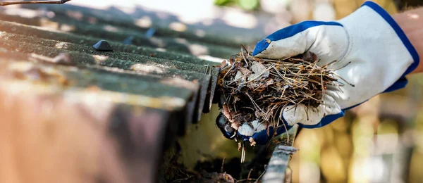 Yaprak Iğnelerden Pis Oluklarını Temizlemek Kopyalama Alanı Olan Pankart — Stok fotoğraf
