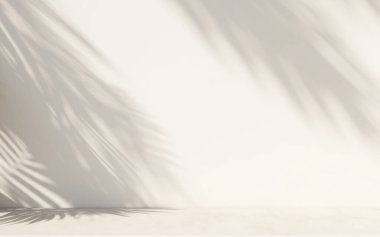 Beyaz bej duvarda palmiye yaprağı gölgesi. Ürün reklamları için arkaplan