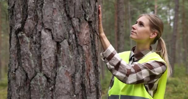 Evaluación Desarrollo Gestión Forestal Ingeniera Evaluadora Forestal Que Trabaja Con — Vídeo de stock