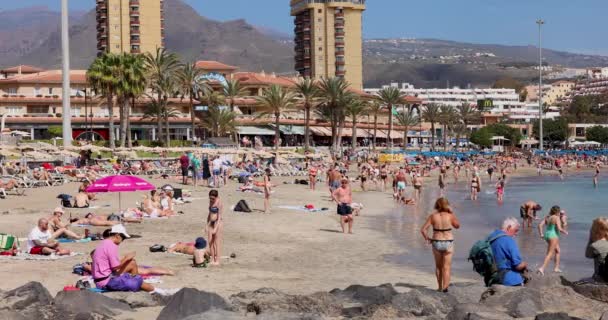 プラヤ アメリカ テネリフェ スペイン 2024年2月16日 プラヤ ヴィスタ ビーチでリラックス 日光浴 泳ぐ人々 — ストック動画