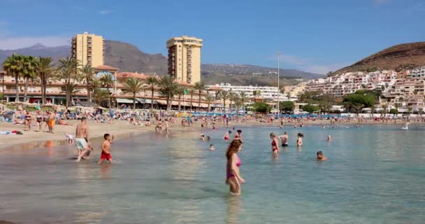 プラヤ アメリカ テネリフェ スペイン 2024年2月16日 プラヤ ヴィスタ ビーチでリラックス 日光浴 泳ぐ人々 — ストック動画