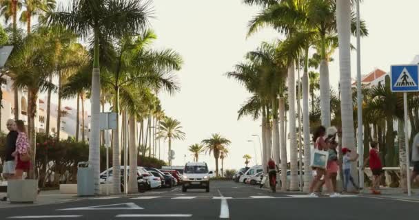 Playa Las Americas Tenerife Espanha Fevereiro 2024 Passarela Trânsito Avenida — Vídeo de Stock