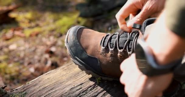 Man Tying Hiking Boot Shoelace Fallen Tree Trunk Outdoor Footwear — Stock Video