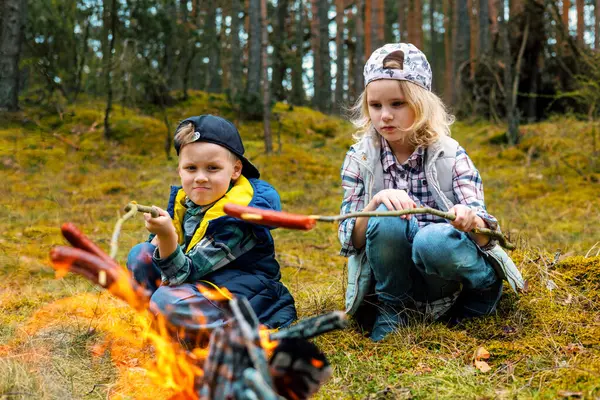 Bambini Friggono Salsicce Spiedi Sopra Falò Foresta Campeggio Con Bambini Immagini Stock Royalty Free