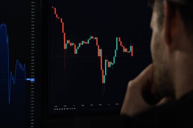 Bilgisayar ekranında dijital mum çubuğu verilerini analiz eden kripto para birimi yatırımcısı. Borsa komisyoncusu takas platformu indekslerine bakıyor. omuz görünümü