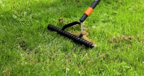 可怕的草坪与可怕的耙 枯草清除 — 图库视频影像