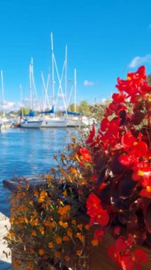 Güneşli bir günde marina. Yat iskelesindeki çiçek kutusuna yakın çekim