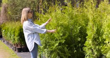 Dışarıdaki fidanlıkta saksı ağacı seçen bir kadın. Bahçe merkezinden dekoratif bitkiler almak
