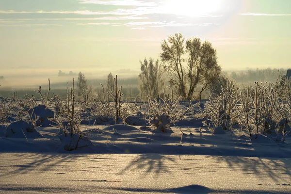 Sunny countryside landscape on a cold winter day