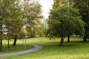 Yeşil parkta yürüyüş yolu rahatlatıcı manzara duvar kağıdı, arka plan