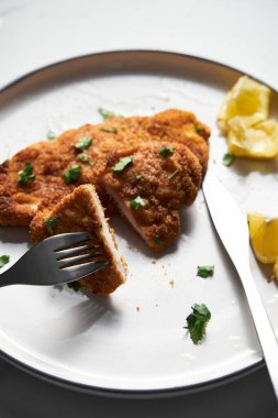 Beyaz tabakta limonlu fırında tavuk şnitzel. Arka planda ekmek kırıntılarıyla pişmiş şnitzeli diz ya da ızgara yap. Yüksek kalite fotoğraf