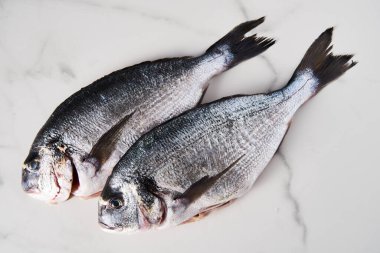 Beyaz mermer arka planda iki çiğ ve taze dorado balığı. Minimalist yemek fotoğrafı. Akdeniz diyeti. Üst görünüm, kopyalanmış alan Yüksek kalite fotoğraf