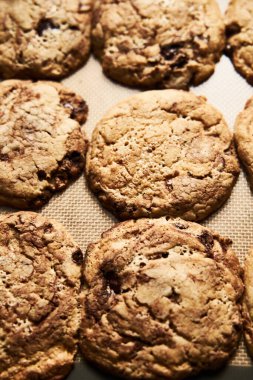 Pişirme tavasında çikolatalı Halva Kurabiyeleri. Yüksek kalite fotoğraf