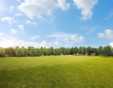 3d rendering green grass field with tree forest and cloudy blue sky