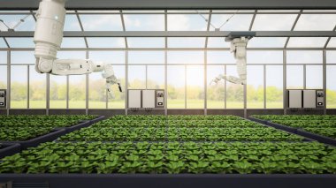 Kapalı çiftlik veya cam evde 3D robot asistanı olan tarım teknolojisi
