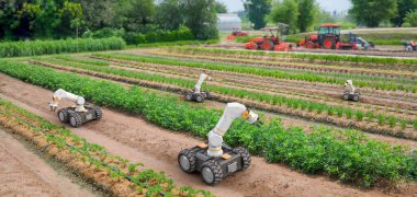 Tarımsal teknoloji konsepti ve 3D robot asistanı sahada