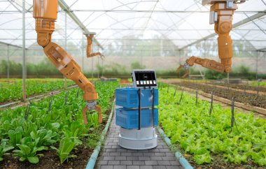 3 boyutlu tarım teknolojisi kavramı ile tarımda robotik kol hasat marulu