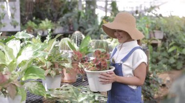 Yeşil evde mutlu bir kadın bahçıvan ya da saksı bitkisi olan bir ev.