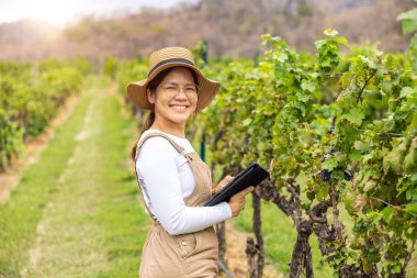 Üzüm bağında dijital tabletle çalışan Asyalı şarap üreticisi