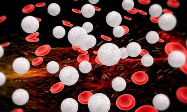 Hemoglobin hücreli beyaz kan hücrelerini damarda oluşturan 3D