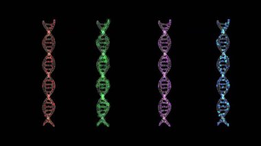 Parlayan dijital DNA sarmalları ya da genom yapıları grubu 4k görüntü