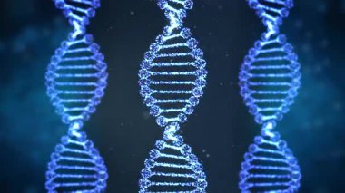 Bir grup mavi parıldayan dijital DNA sarmalları veya genom yapıları 4k görüntü