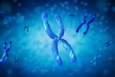 3d mavi kromozom x 'i mikroskopla oluşturma