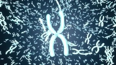 Mavi kromozom x ile mikroskop arasında 4k görüntü