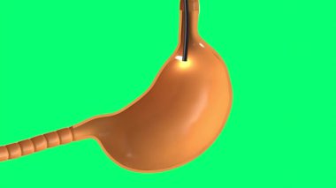 Midedeki endoskop yeşil ekranda izole edildi