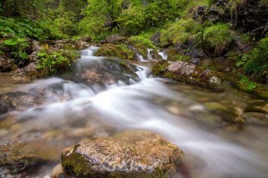 Dağ deresi. Dağ manzarası.
