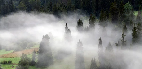 Mlhavé Ráno Mýtině Tatrách — Stock fotografie