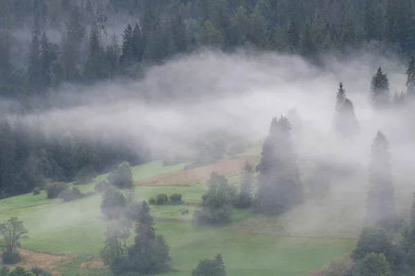 Mlhavé Ráno Mýtině Tatrách — Stock fotografie